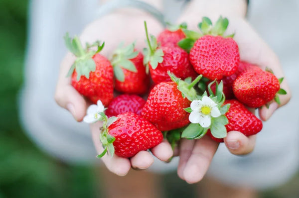 Health Benefits of Strawberries